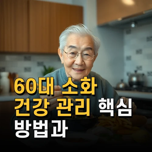60대 소화 건강 관리 핵심 방법과 영양 섭취 노하우